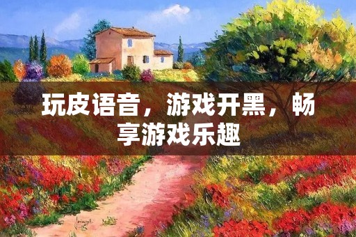 玩皮语音，游戏开黑，畅享游戏乐趣