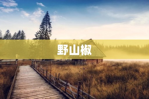 野山椒：辣味调味品与药用佳品