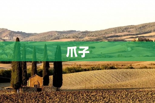 爪子：探索动物世界的奇妙工具