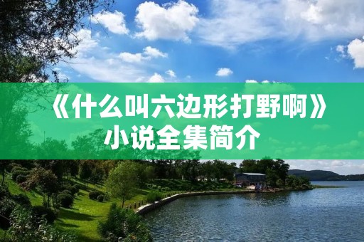 《什么叫六边形打野啊》小说全集简介 《什么叫六边形打野啊》小说全集简介