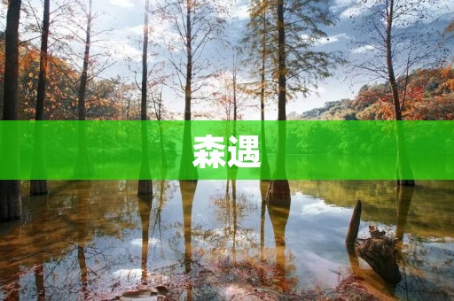 森遇：探索自然之美，与大自然相遇的奇妙旅程