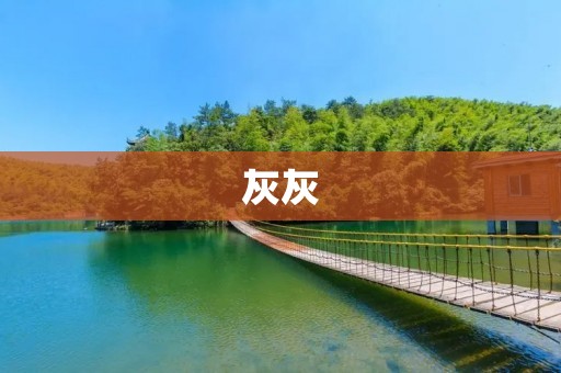 灰灰:一只温柔可爱的小猫咪 灰灰:一只温柔可爱的小猫咪