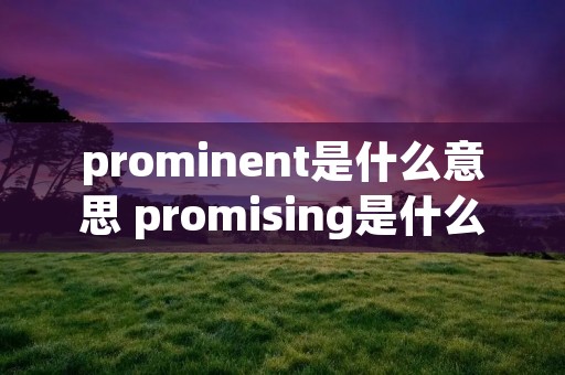 prominent是什么意思 promising是什么意思
