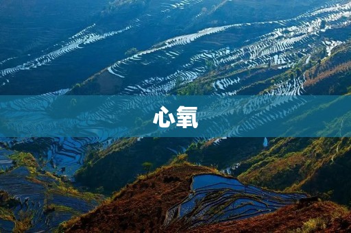 心氧:保护心脏健康,守护生命的守护神 心氧:保护心脏健康,守护生命的守护神
