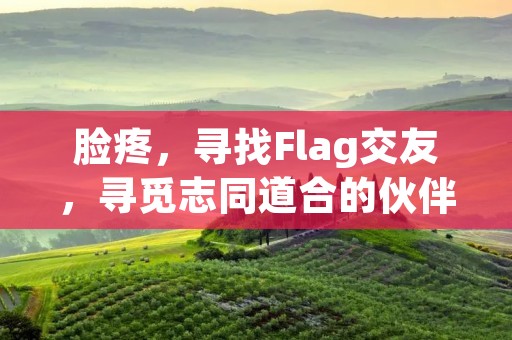 脸疼，寻找Flag交友，寻觅志同道合的伙伴