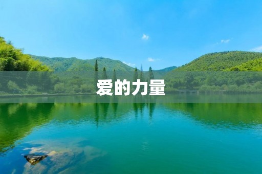 爱的力量：以爱为底色的人生之旅
