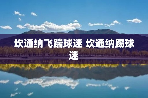 坎通纳飞踹球迷 坎通纳踢球迷