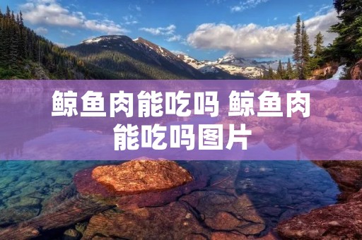 鲸鱼肉能吃吗 鲸鱼肉能吃吗图片