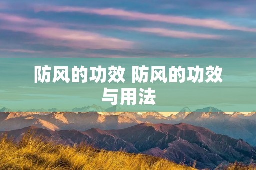 防风的功效 防风的功效与用法