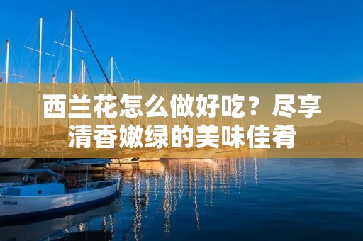 西兰花怎么做好吃?尽享清香嫩绿的美味佳肴
