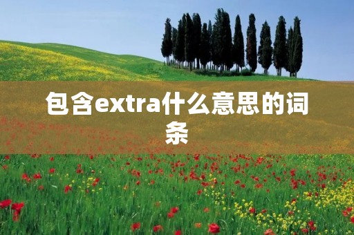包含extra什么意思的词条