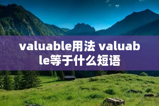valuable用法 valuable等于什么短语