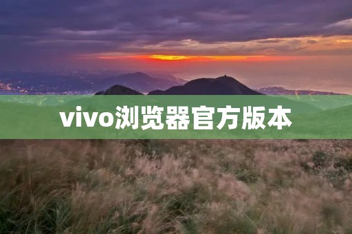 vivo浏览器官方版本:打造高效便捷的网页浏览体验 vivo浏览器官方版本:打造高效便捷的网页浏览体验