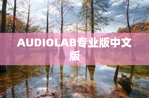AUDIOLAB专业版中文版：音频领域的专业利器
