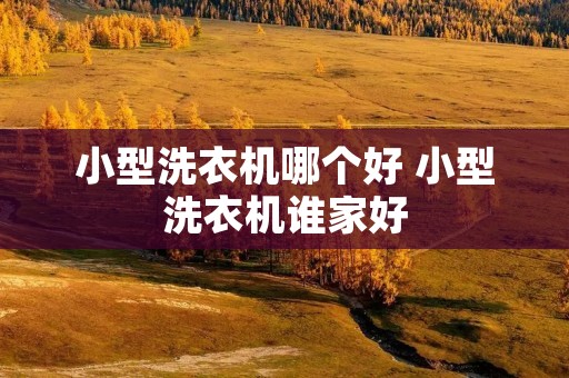 小型洗衣机哪个好 小型洗衣机谁家好