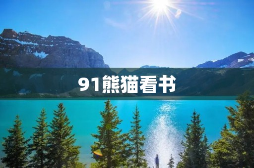 91熊猫看书：探索知识的乐趣