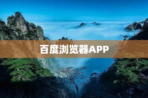 百度浏览器APP：轻松畅游互联网的必备工具