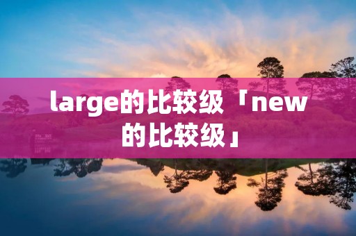 large的比较级「new的比较级」