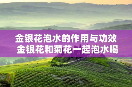 金银花泡水的作用与功效 金银花和菊花一起泡水喝的功效