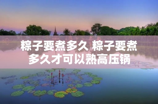 粽子要煮多久 粽子要煮多久才可以熟高压锅