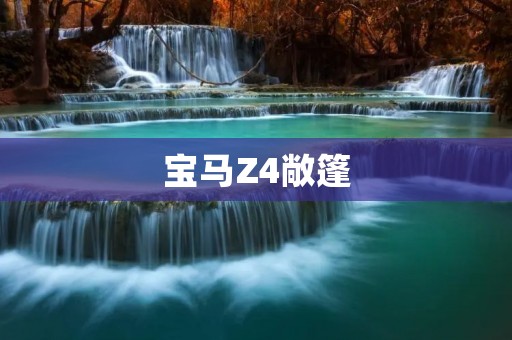 宝马Z4敞篷:狂野与奢华的完美结合 宝马Z4敞篷:狂野与奢华的完美结合