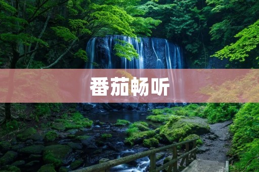番茄畅听：打开你的音乐新世界