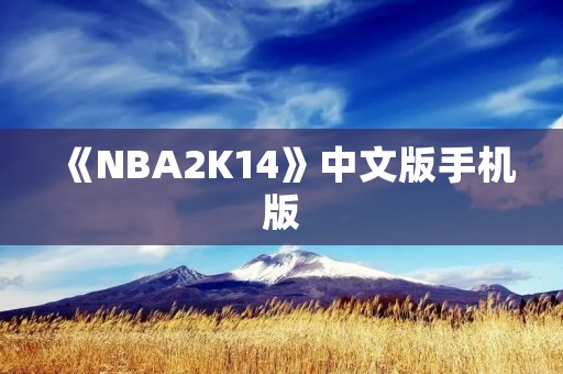 《NBA2K14》中文版手机版:带你领略真实的篮球世界!