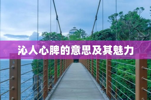 沁人心脾的意思及其魅力