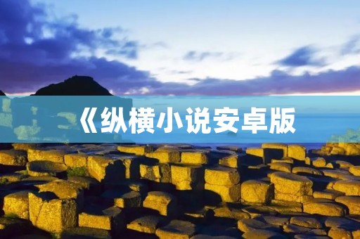 《纵横小说安卓版：畅享无限阅读乐趣》