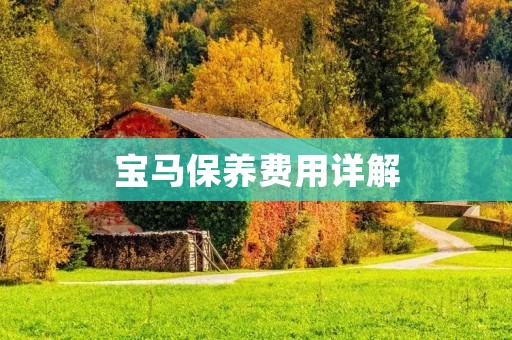 宝马保养费用详解：了解如何合理控制您的宝马保养成本