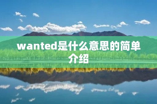 wanted是什么意思的简单介绍