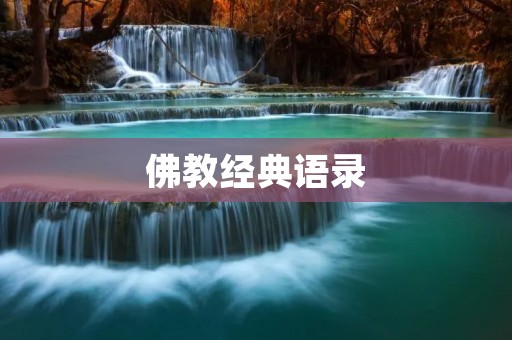 佛教经典语录:让佛法智慧照亮人生的光芒