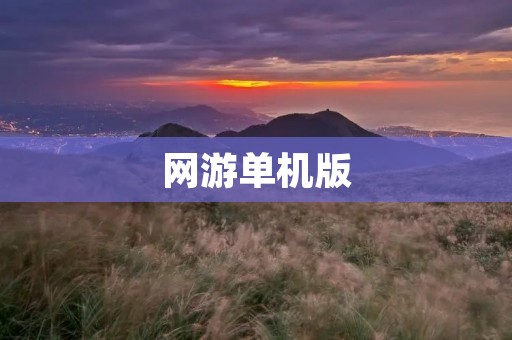 网游单机版：让你不用联网也能畅玩游戏