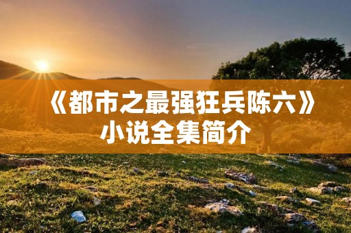 《都市之最强狂兵陈六》小说全集简介