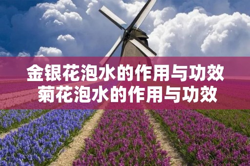 金银花泡水的作用与功效 菊花泡水的作用与功效