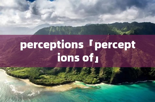 perceptions「perceptions of」