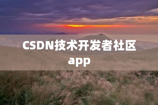 CSDN技术开发者社区app：连接全球开发者的智慧之源