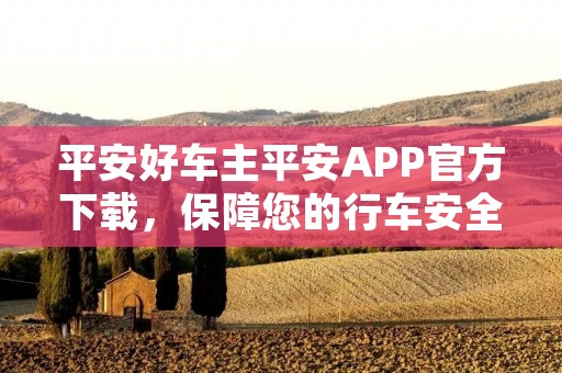平安好车主平安APP官方下载,保障您的行车安全 平安好车主平安APP官方下载,保障您的行车安全