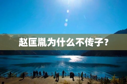 赵匡胤为什么不传子？