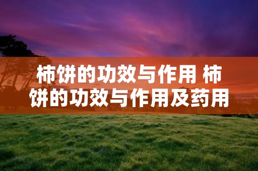 柿饼的功效与作用 柿饼的功效与作用及药用价值