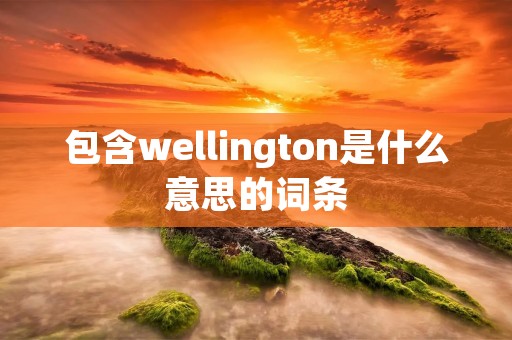 包含wellington是什么意思的词条 包含wellington是什么意思的词条