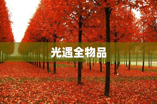 光遇全物品:探索无尽的奇幻世界 光遇全物品:探索无尽的奇幻世界