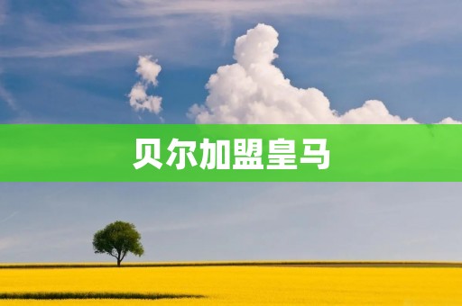 贝尔加盟皇马：从崇高期望到遗憾离开