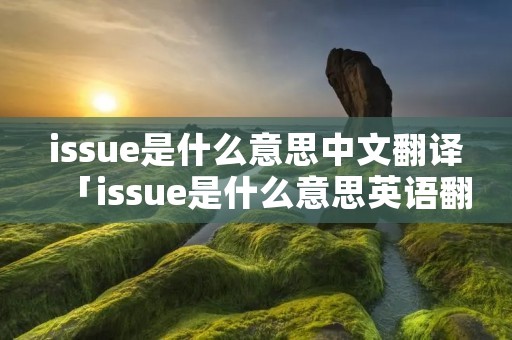 issue是什么意思中文翻译「issue是什么意思英语翻译」