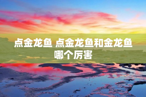 点金龙鱼 点金龙鱼和金龙鱼哪个厉害
