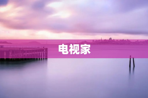 电视家:让你随时随地畅享高清电视直播 电视家:让你随时随地畅享高清电视直播