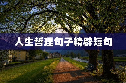 人生哲理句子精辟短句：洞察人生，领悟人生哲理