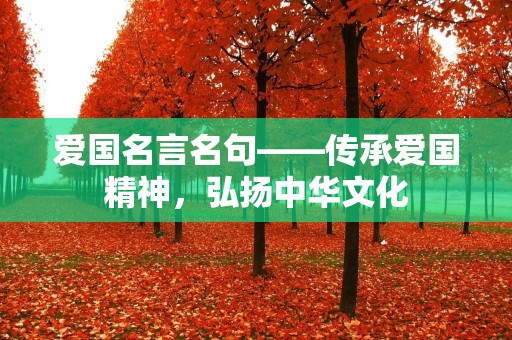 爱国名言名句——传承爱国精神,弘扬中华文化