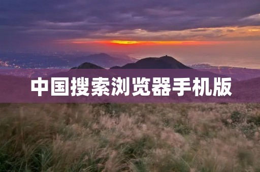 中国搜索浏览器手机版：打开全新的网络世界！
