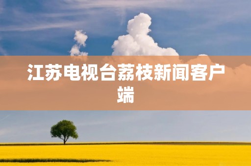 江苏电视台荔枝新闻客户端：打造精准、便捷、全面的新闻资讯平台